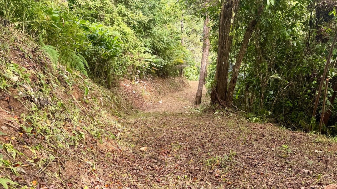 8.95 Acres Prime Location with Waterfall & River in Dominical property photo 3 in Costa Rica