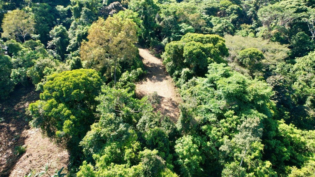 8.95 Acres Prime Location with Waterfall & River in Dominical property photo 4 in Costa Rica