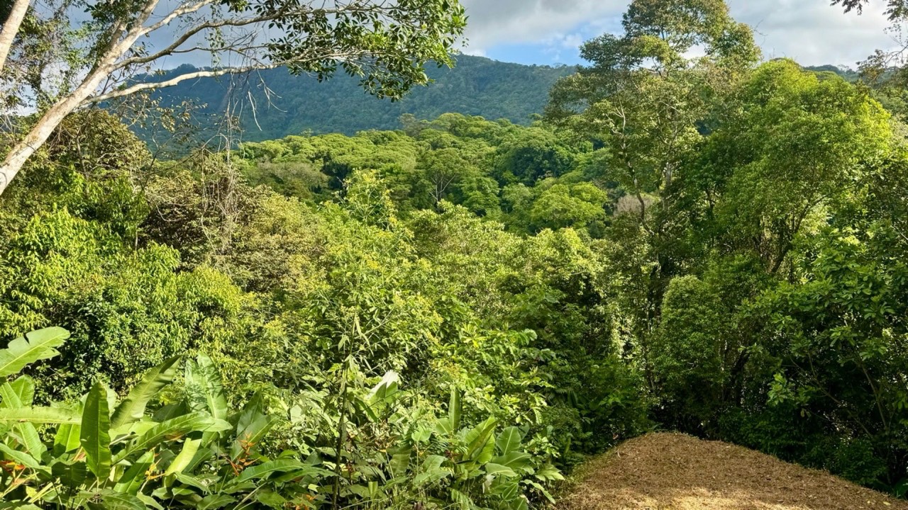 8.95 Acres Prime Location with Waterfall & River in Dominical property photo 5 in Costa Rica