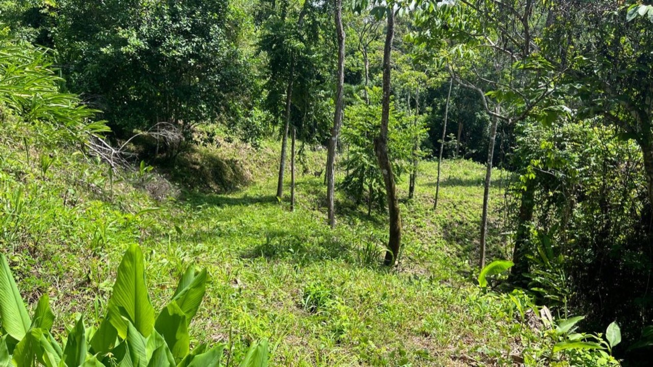 Affordable Home Building Site in Lagunas property photo 2 in Costa Rica