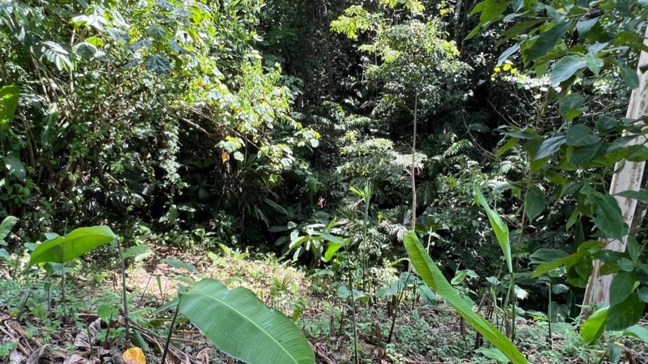 Affordable Home Building Site in Lagunas property photo 3 in Costa Rica