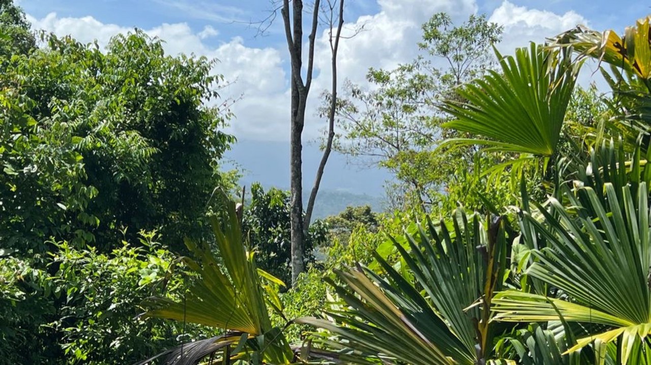 Affordable Home Building Site in Lagunas property photo 4 in Costa Rica