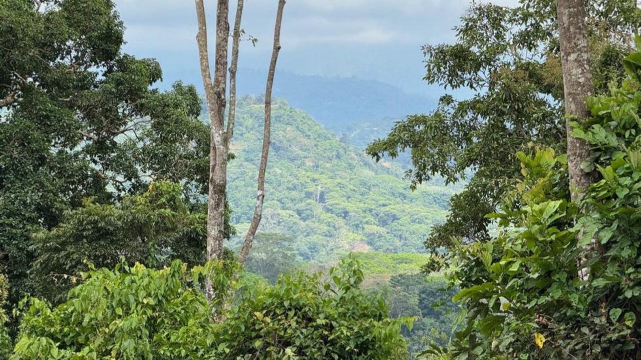 Affordable Home Building Site in Lagunas in Dominical, Puntarenas, Costa Rica