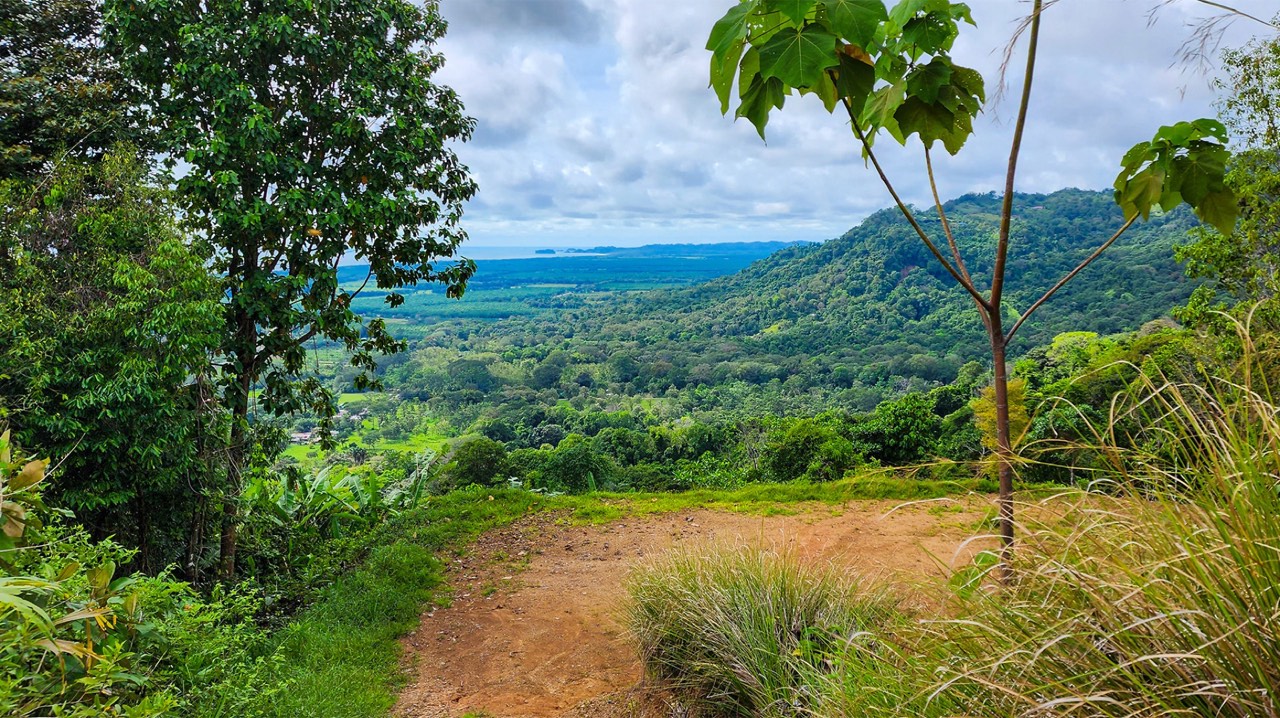 Boutique Community Above Matapalo Beach with Ocean View Homesites property photo 2 in Costa Rica