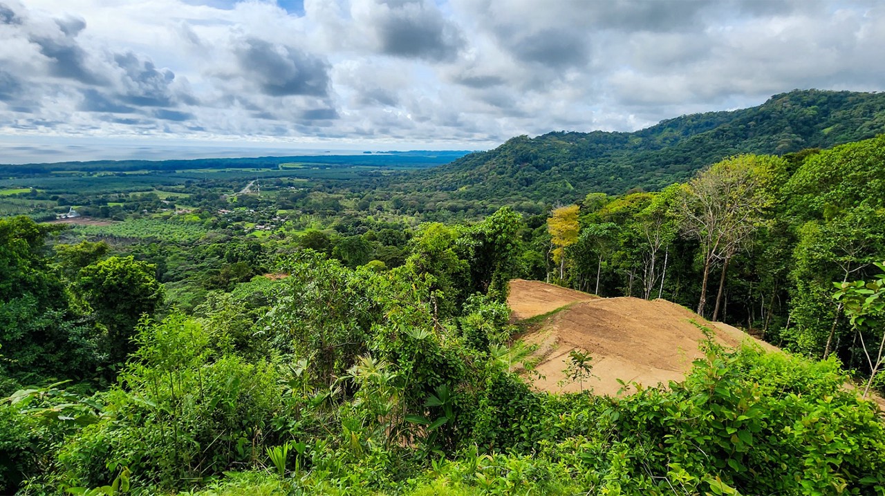 Boutique Community Above Matapalo Beach with Ocean View Homesites property photo 4 in Costa Rica