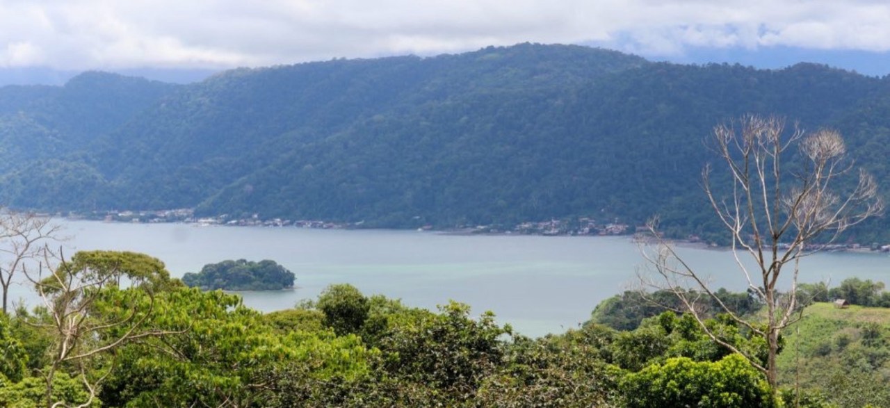Unique Property Overlooking Pristine Golfito Bay and Golfo Dulce property photo 3 in Costa Rica