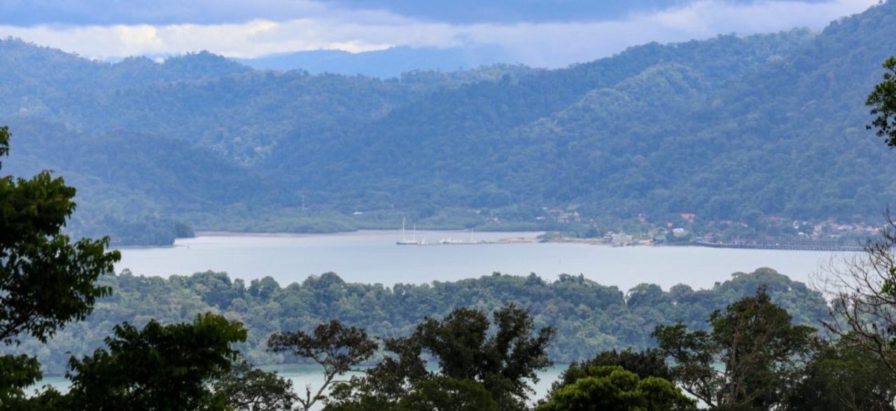 Unique Property Overlooking Pristine Golfito Bay and Golfo Dulce property photo 5 in Costa Rica