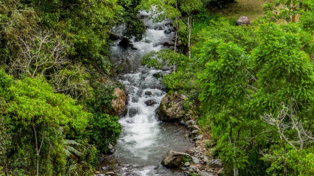 Expansive 27 Acre Farm with Residence in San Isidro del General property photo 3 in Costa Rica
