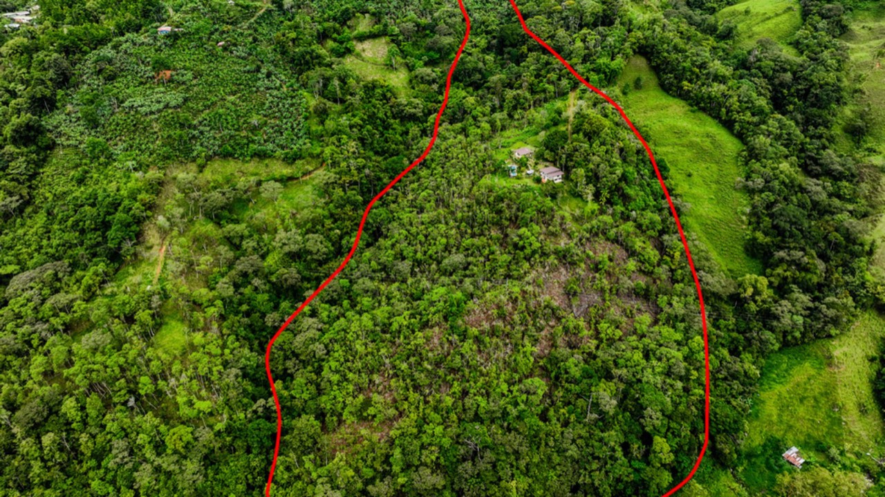 Expansive 27 Acre Farm with Residence in San Isidro del General property photo 4 in Costa Rica