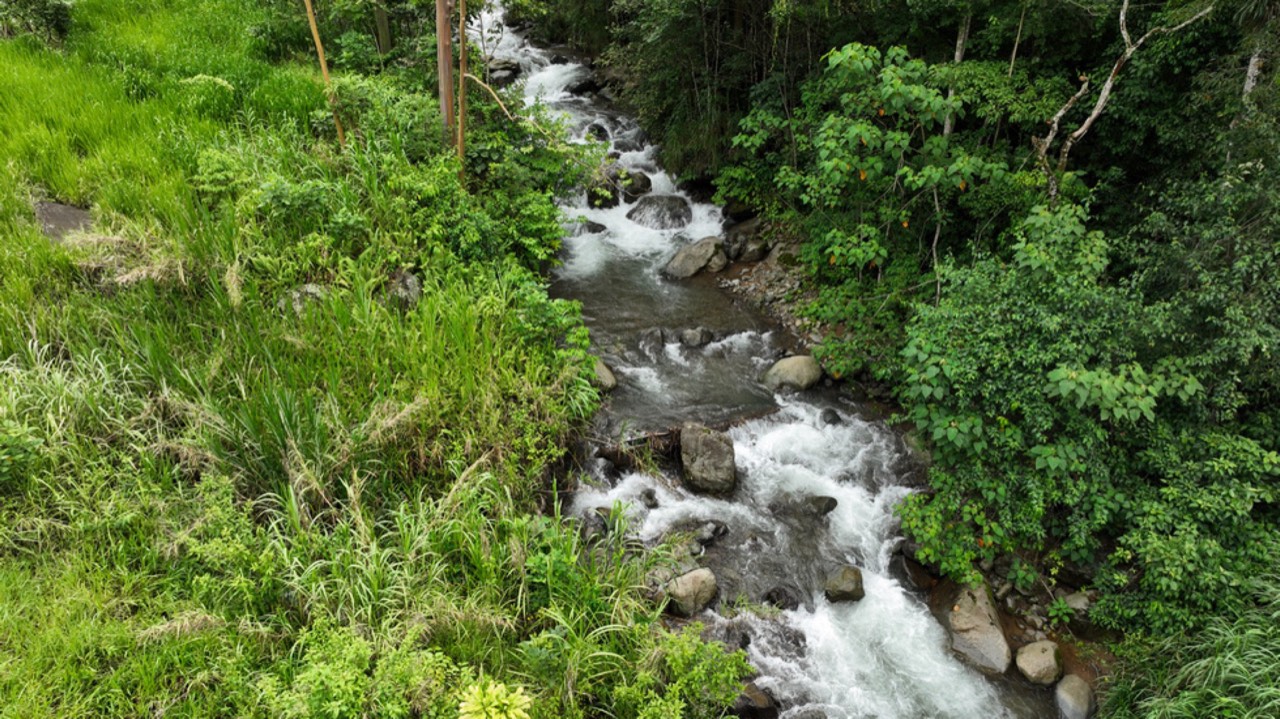 Expansive 27 Acre Farm with Residence in San Isidro del General property photo 5 in Costa Rica