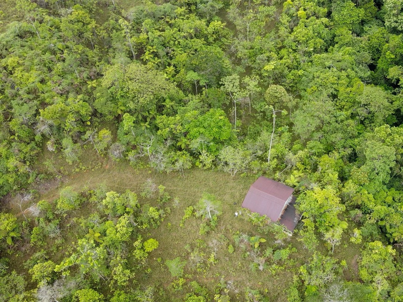 $225,000 - 34.25 Acres - Finca Los Buenos Tiempos, Uvita, Motivated Seller! property photo 2 in Costa Rica
