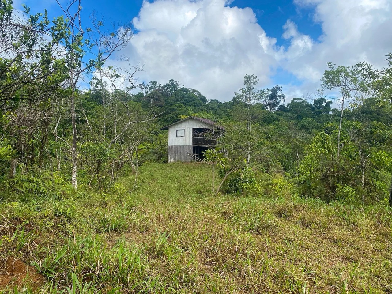 $225,000 - 34.25 Acres - Finca Los Buenos Tiempos, Uvita, Motivated Seller! property photo 3 in Costa Rica