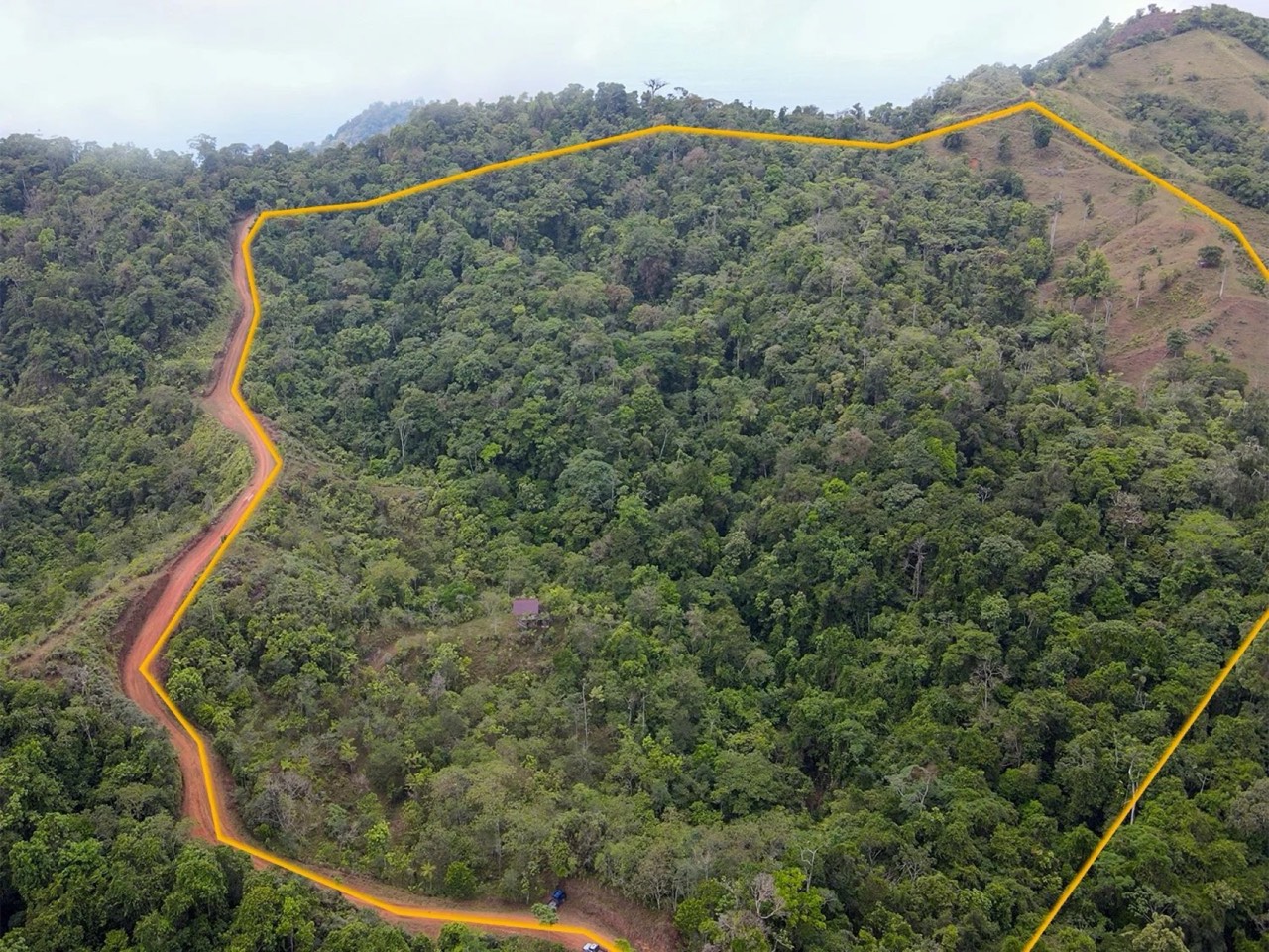 $225,000 - 34.25 Acres - Finca Los Buenos Tiempos, Uvita, Motivated Seller! in Uvita, Puntarenas, Costa Rica