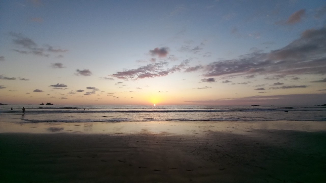 Front Row Mixed Use Property Easy Walk to Dominicalito Beach property photo 5 in Costa Rica