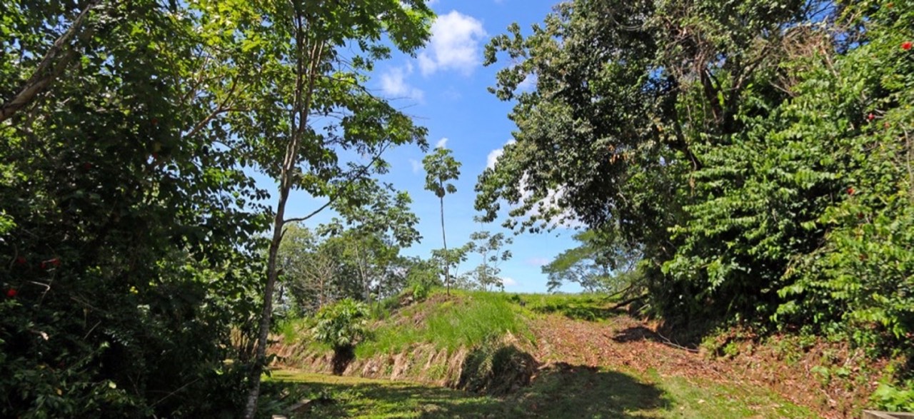 Home Site with Cano Island View in the Monte Vista Estates Community property photo 4 in Costa Rica