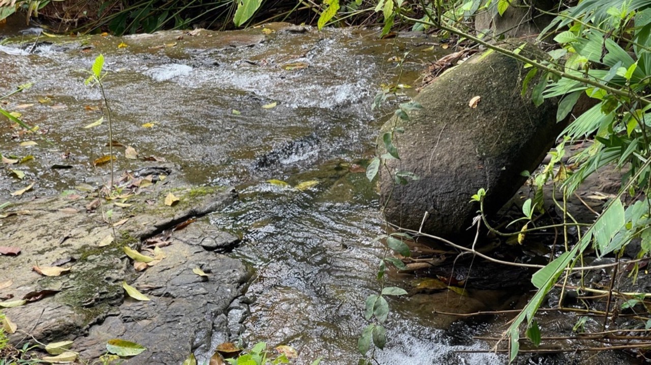 Just Over 3 Acres Riverfront Land in Platanillo Above Dominical property photo 2 in Costa Rica