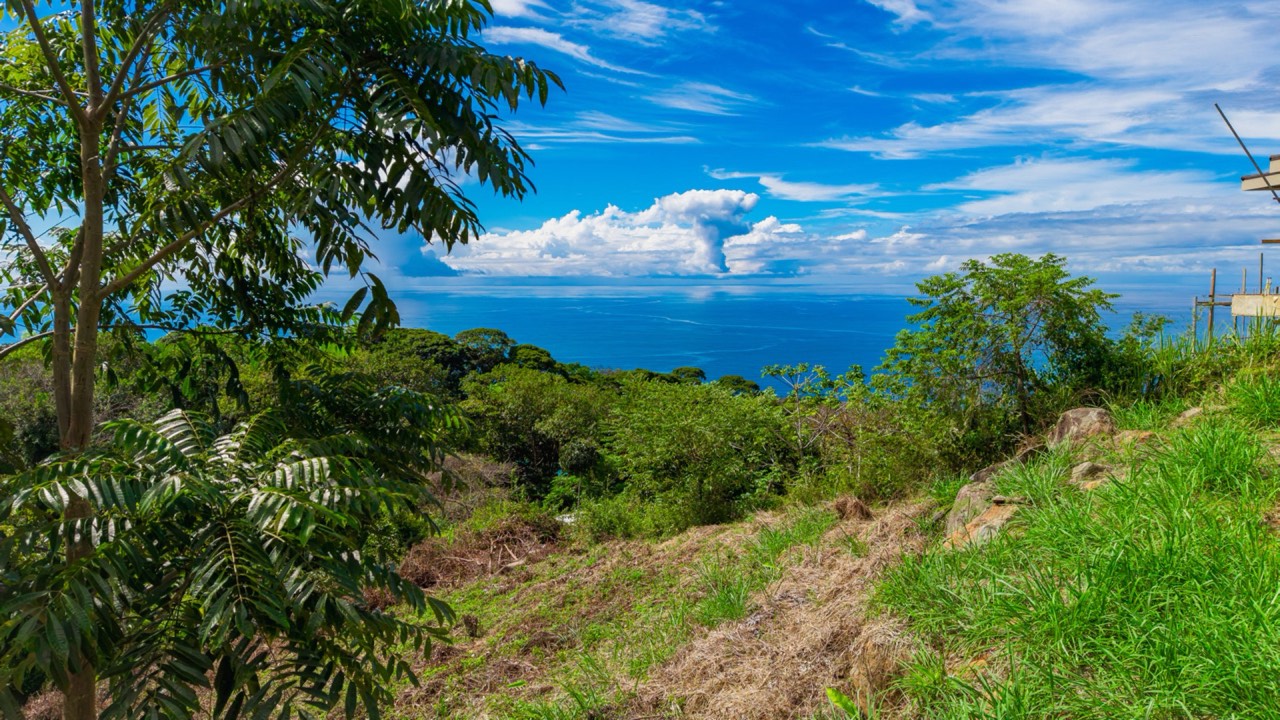 Luxury Ocean View Lot in Escaleras Dominical property photo 5 in Costa Rica