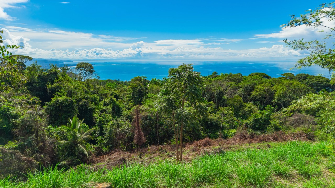 Luxury Ocean View Lot in Escaleras Dominical in Dominical, Puntarenas, Costa Rica