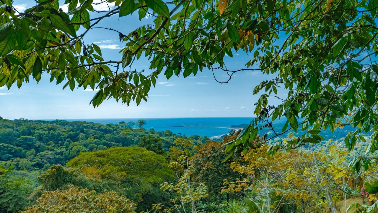 Ocean View Homesite in Uvita with the Best Views in Town property photo 3 in Costa Rica
