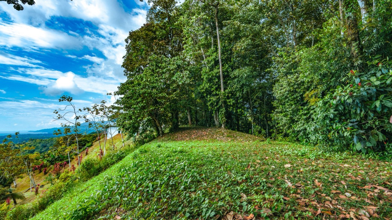 Ocean View Homesite in Uvita with the Best Views in Town property photo 5 in Costa Rica