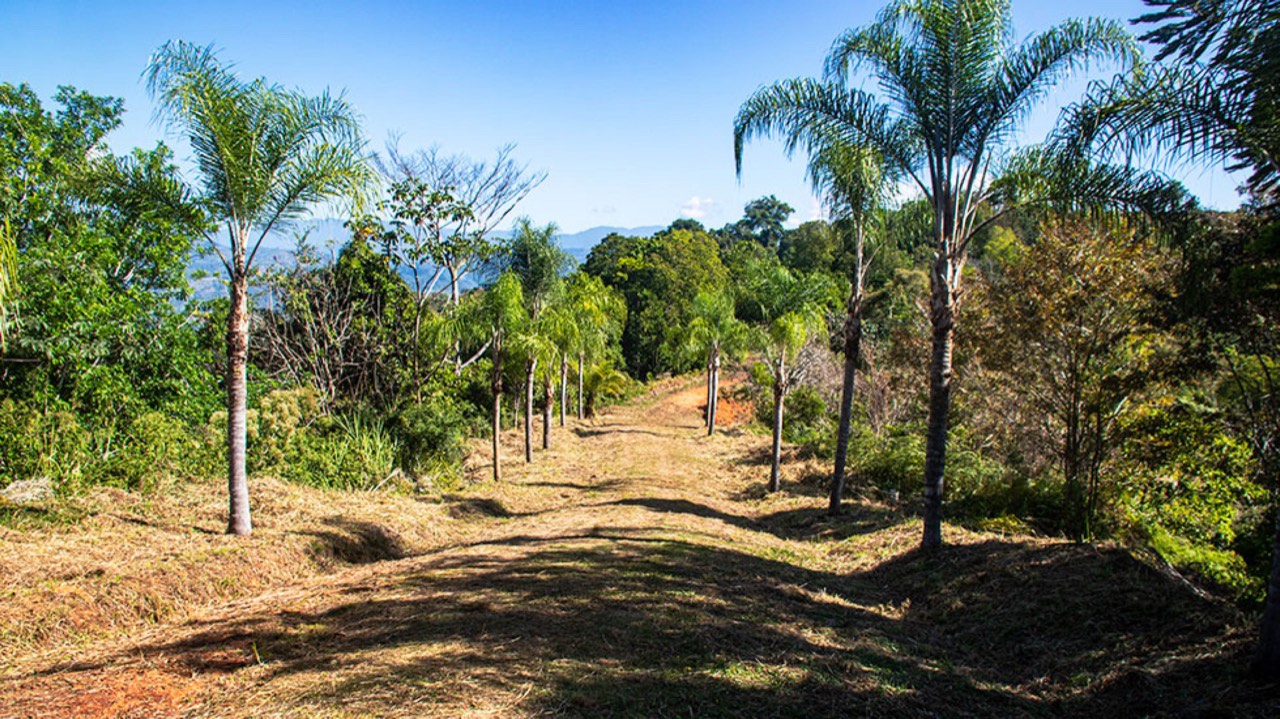 Panoramic Ocean View Property with Multiple Building Sites property photo 5 in Costa Rica