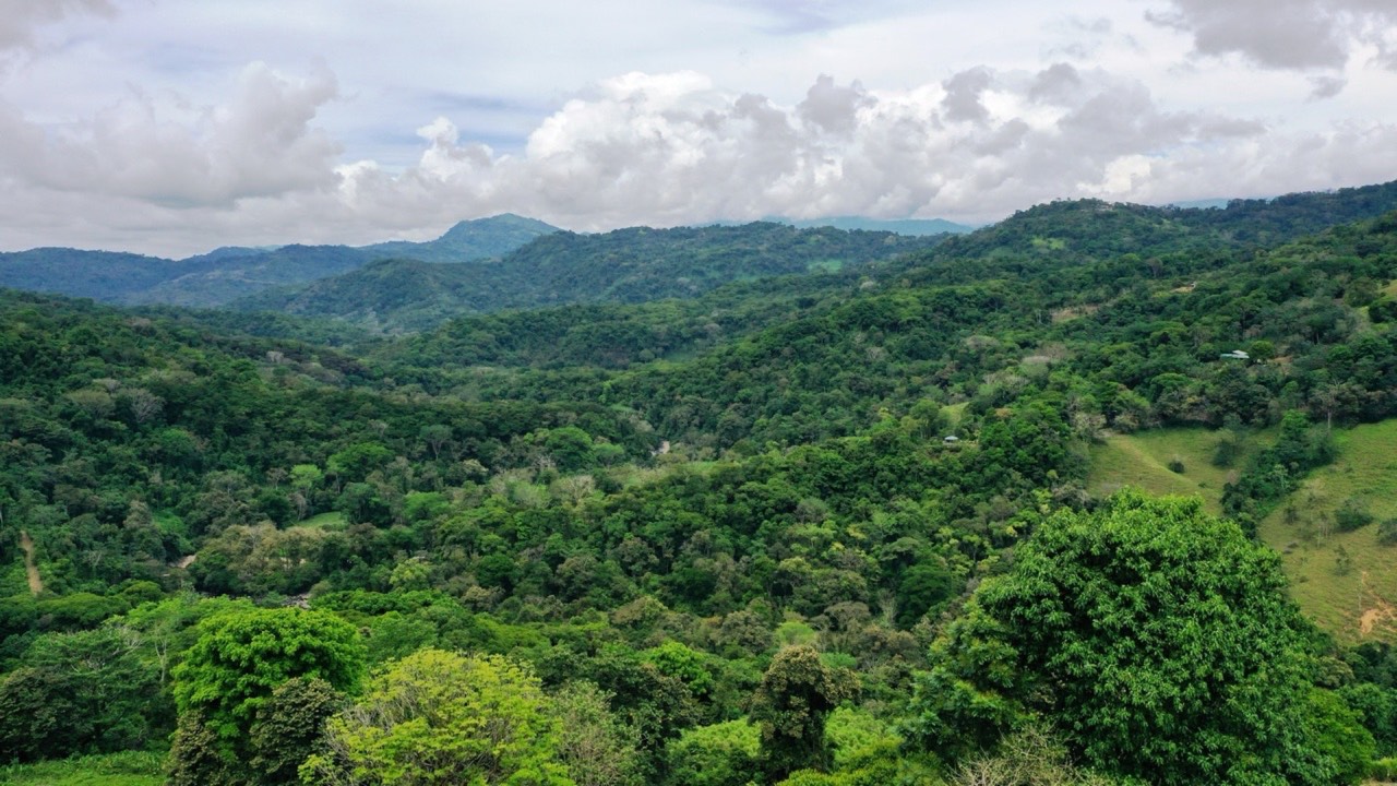 Dominical Mountain Farming Property property photo 4 in Costa Rica