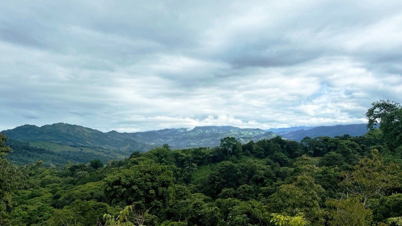 Prime 2 Acre Ocean View Lot in Platanillo Ready to Build property photo 3 in Costa Rica