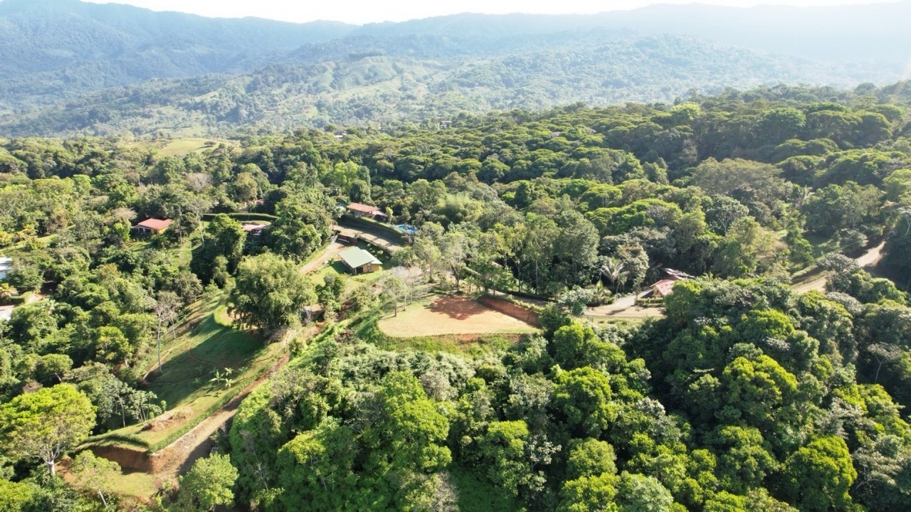 Prime 2 Acre Ocean View Lot in Platanillo Ready to Build property photo 4 in Costa Rica