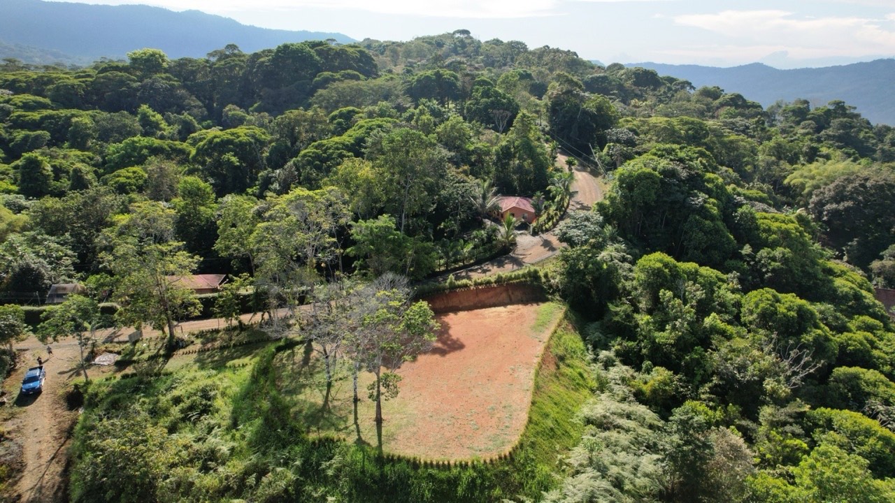 Prime 2 Acre Ocean View Lot in Platanillo Ready to Build property photo 5 in Costa Rica