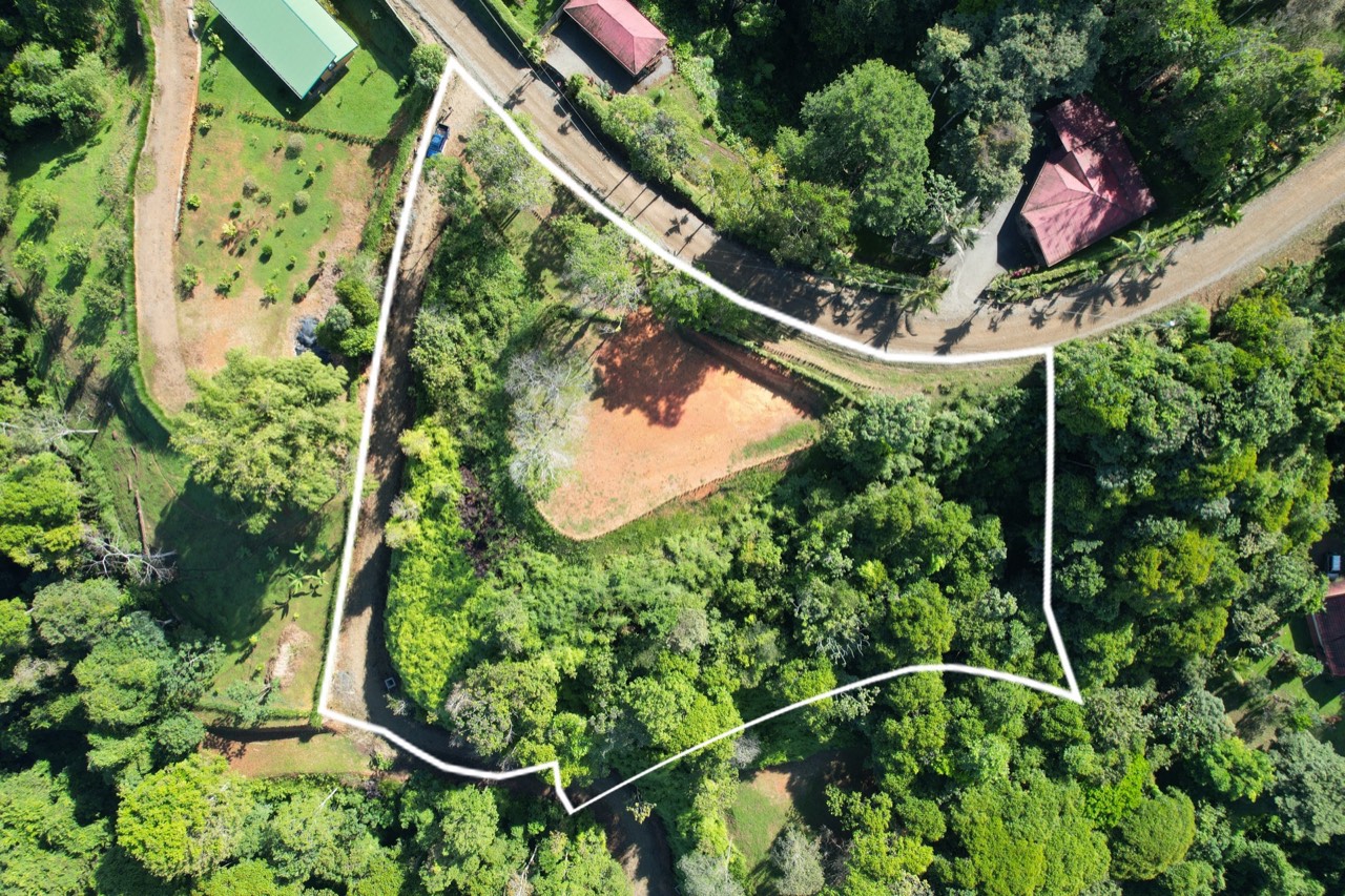 Prime 2 Acre Ocean View Lot in Platanillo Ready to Build in Platanillo, San José, Costa Rica