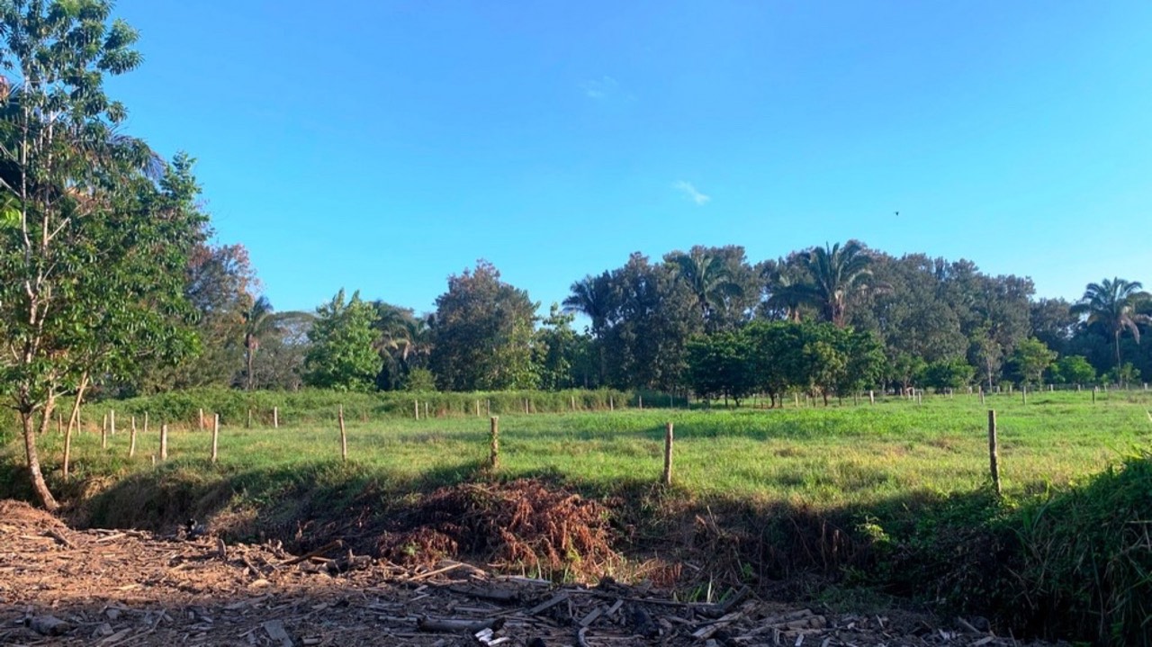 Prime Oceanside Commercial and Residential Lot in Playa Hermosa property photo 2 in Costa Rica