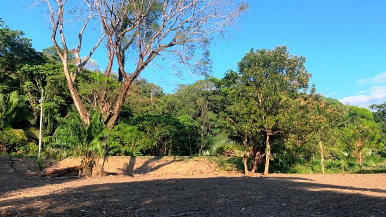 Prime Oceanside Commercial and Residential Lot in Playa Hermosa property photo 5 in Costa Rica