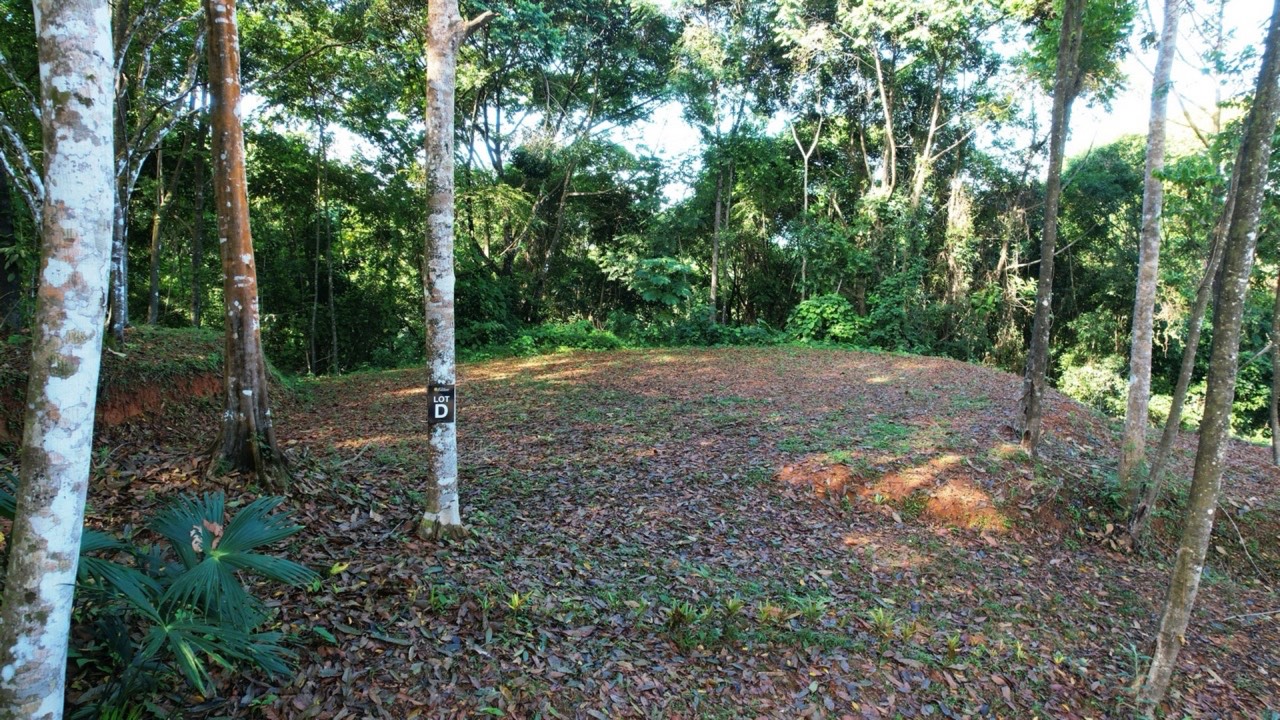Private 4.25 Acre Jungle Lot in Platanillo Ready to Build property photo 2 in Costa Rica