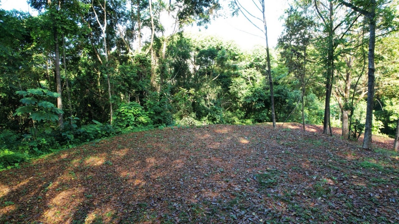 Private 4.25 Acre Jungle Lot in Platanillo Ready to Build property photo 5 in Costa Rica