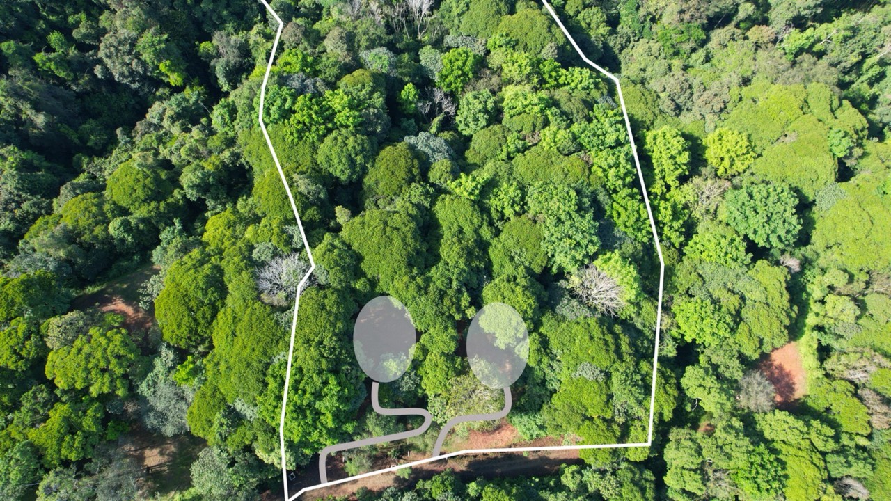 Private 4.25 Acre Jungle Lot in Platanillo Ready to Build in Platanillo, San José, Costa Rica