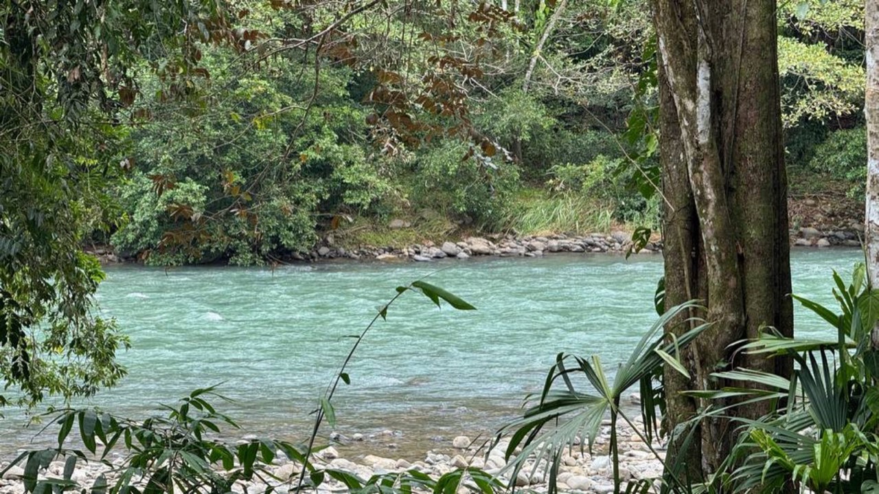 Riverfront Oasis on the Barú River Dominical property photo 2 in Costa Rica