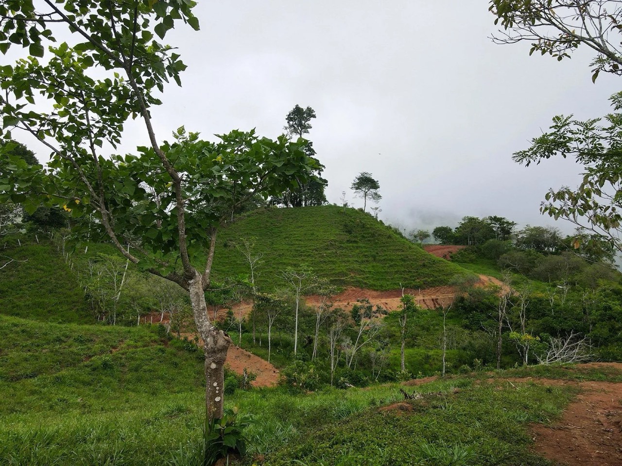 A Promising Development Opportunity in San Josecito, Perez Zeledon property photo 4 in Costa Rica