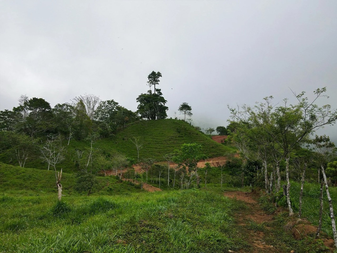 A Promising Development Opportunity in San Josecito, Perez Zeledon property photo 5 in Costa Rica