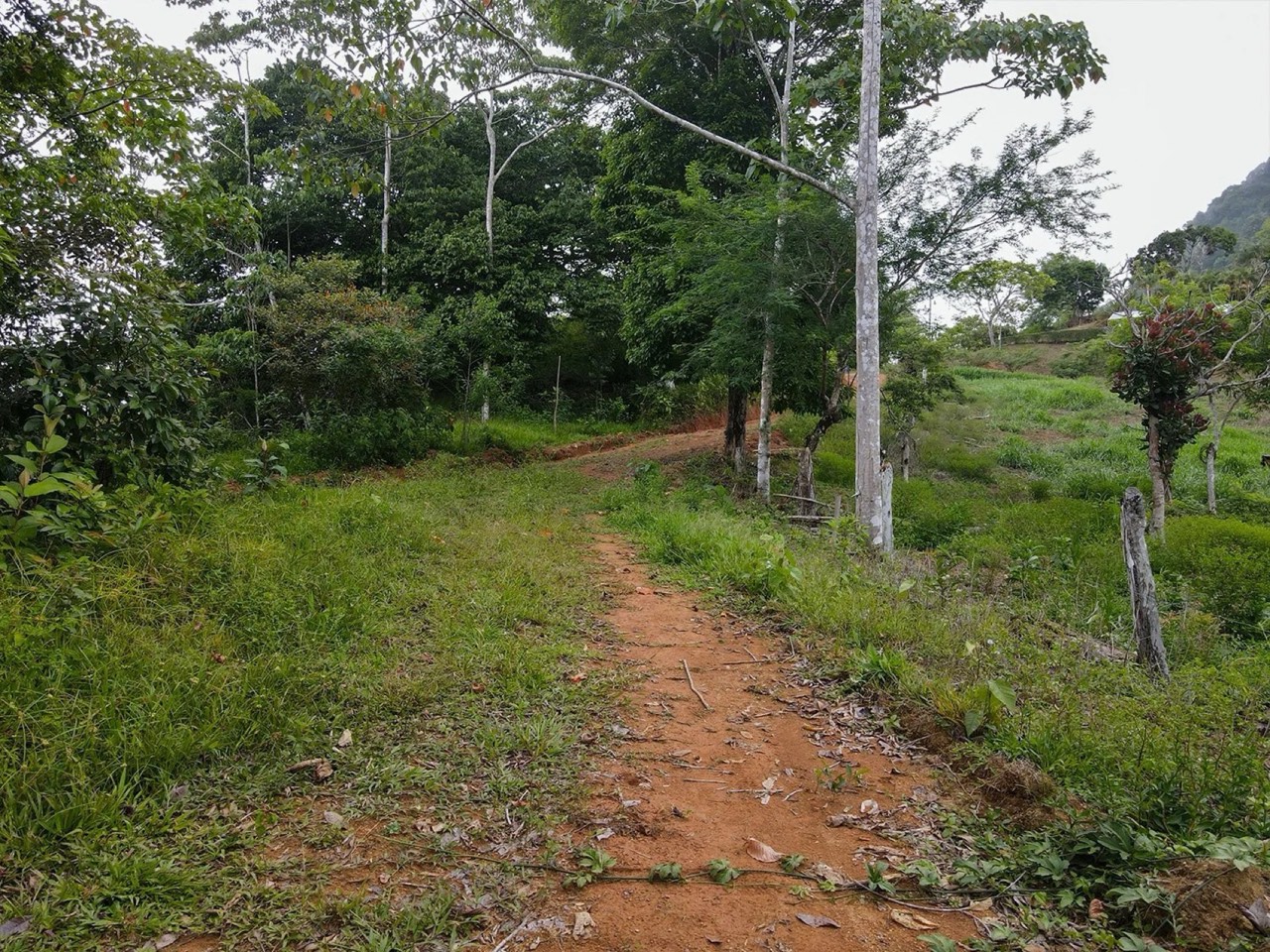 A Promising Development Opportunity in San Josecito, Perez Zeledon in San Isidro del General, San José, Costa Rica