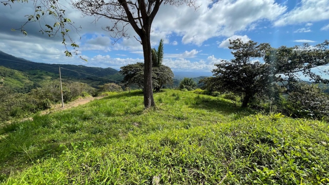 Sunset Ocean View Land with Cano Island Views property photo 4 in Costa Rica