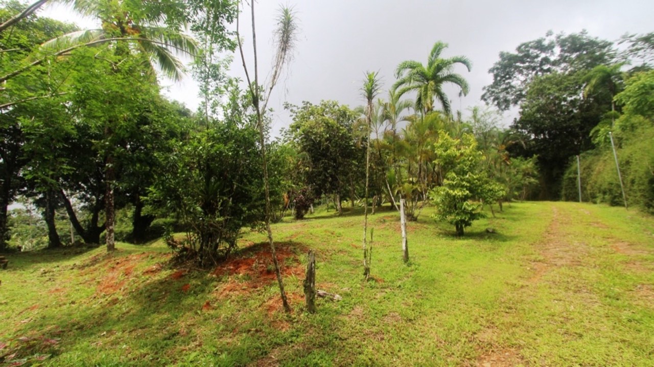 Turnkey Waterfall View Lot near Tinamaste property photo 2 in Costa Rica