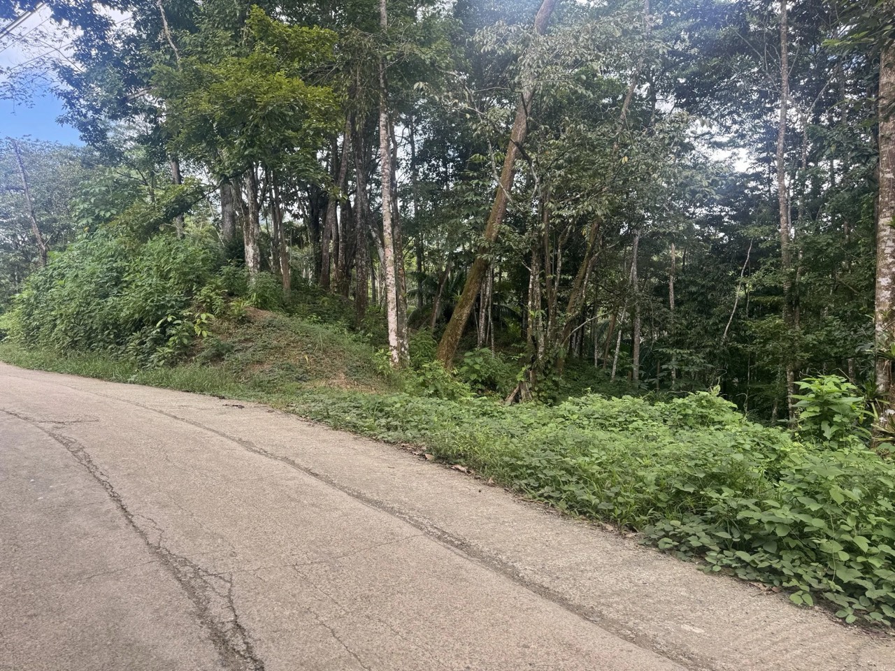 $175,000 - 0.67 Acres - Lot In The Heart of Uvita, Motivated Seller! property photo 2 in Costa Rica