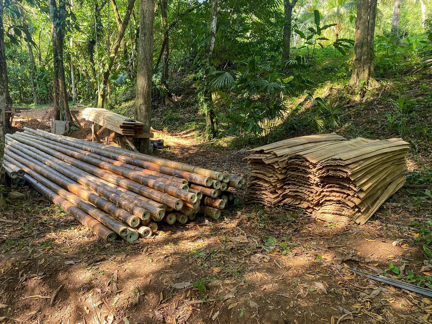 Bohorica Home Build: Black Bamboo Roof, photo 3