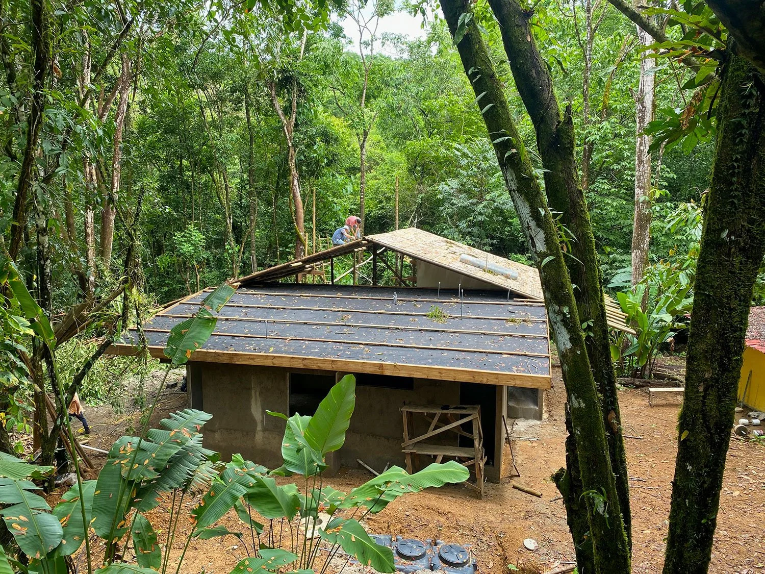 Bohorica Home Build: Black Bamboo Roof, photo 21