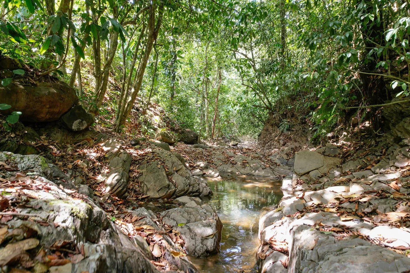 Bohorica Private Estate Home Building Project Overview Near Dominical, Costa Rica, photo 8