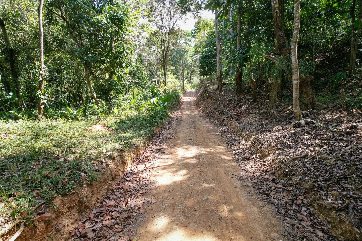 Bohorica Private Estate Home Building Project Overview Near Dominical, Costa Rica, photo 12