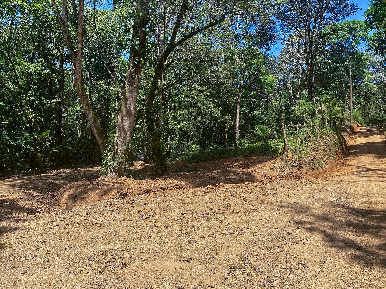 Land clearing and site prep underway at Casa Bohorica, photo 9