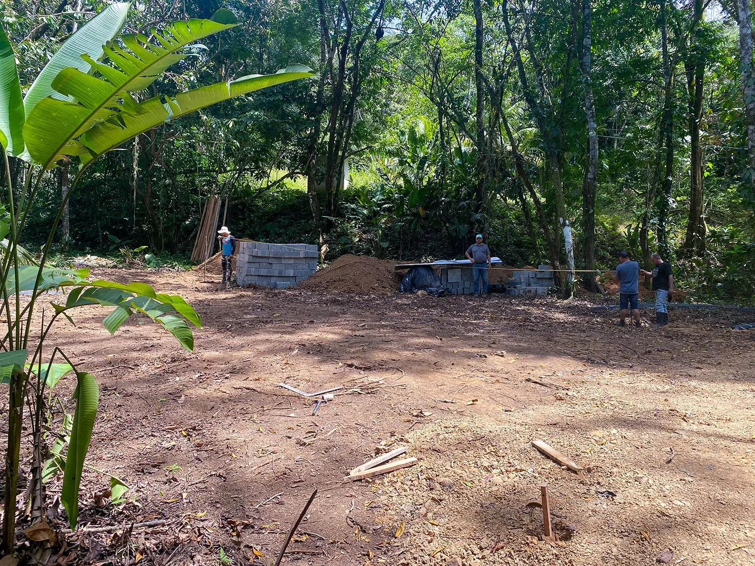 Land clearing and site prep underway at Casa Bohorica, photo 11