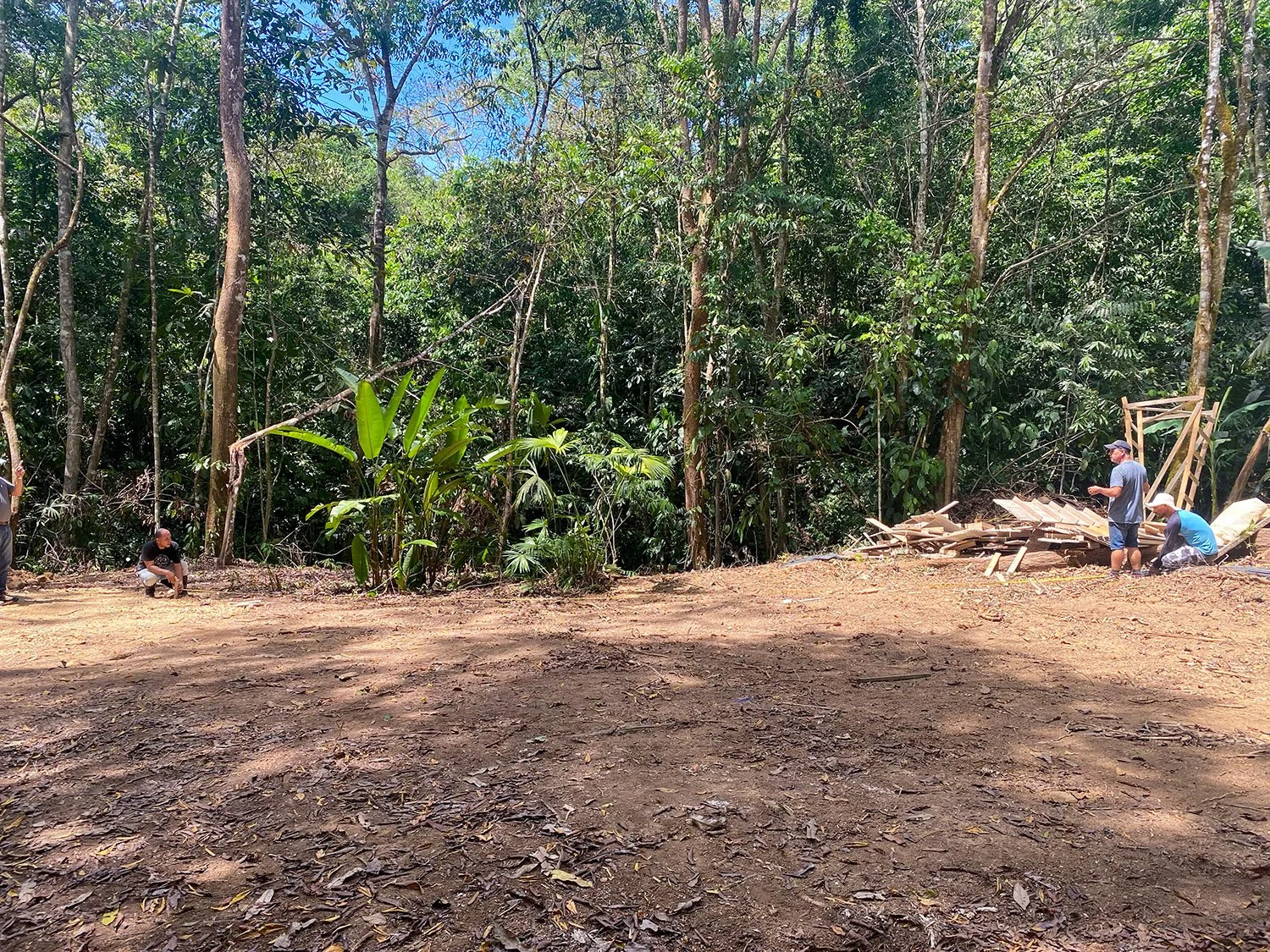 Land clearing and site prep underway at Casa Bohorica, photo 13