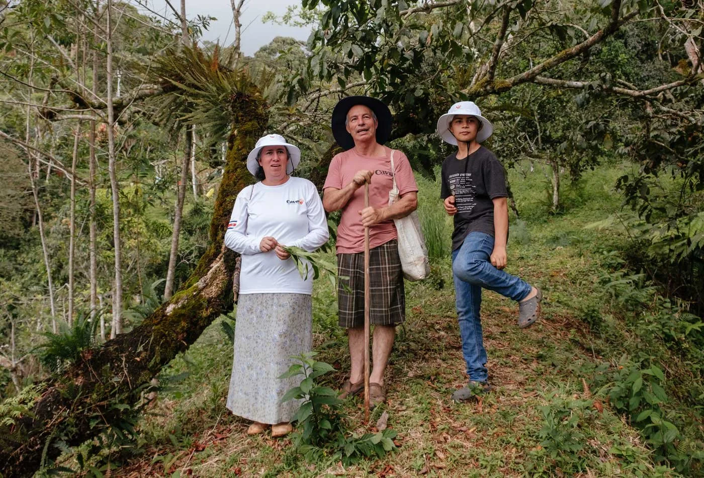 Land Conversion to Sustainable Permaculture Garden –Casa Cavu, photo 6
